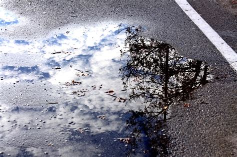 Puddle Water Reflection Free Photo On Pixabay Pixabay