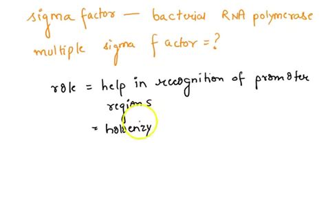 SOLVED: What is a sigma factor and, in general, how do they facilitate ...