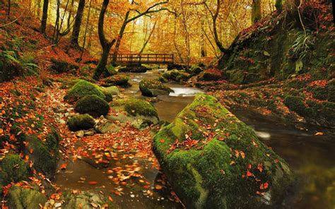 Top Ten Places To Enjoy Autumn In The Uk