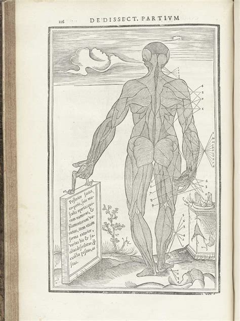 Historical Anatomies On The Web Charles Estienne Home