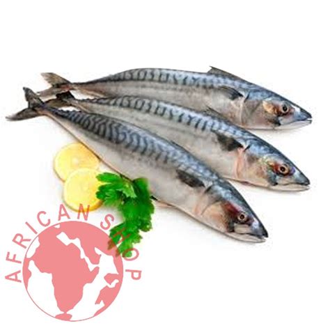 MACKEREL FISH 1KG – African Shop