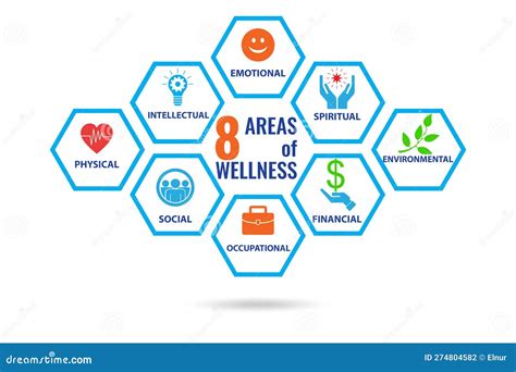 Concept Of Eight Areas Of Wellness Stock Illustration Illustration Of