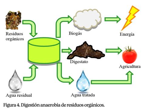 Residuos SÓlidos Urbanos Una ProblemÁtica Ambiental Y Oportunidad