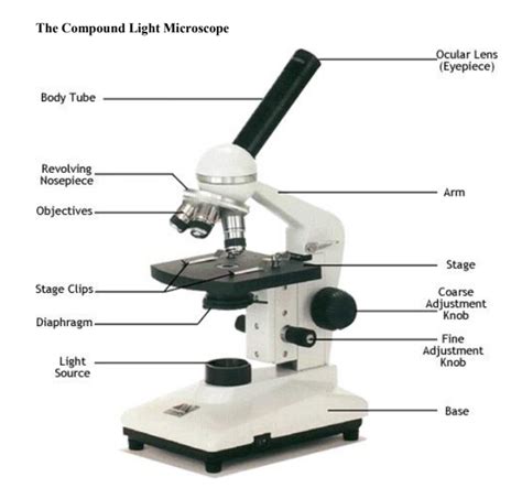 Iris Diaphragm Lever Microscope : Microscopy 1 - This diaphragm is ...