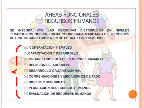 Reas Funcionales Entorno Administrativo Ppt