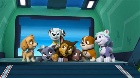 Watch Paw Patrol Season 5 Episode 22 Paw Patrol Pups Save A Frozen Camp Out Pups Save The