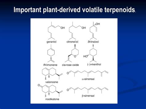 Ppt Biosynthesis Of Plant Derived Flavor Compounds Powerpoint Presentation Id217240