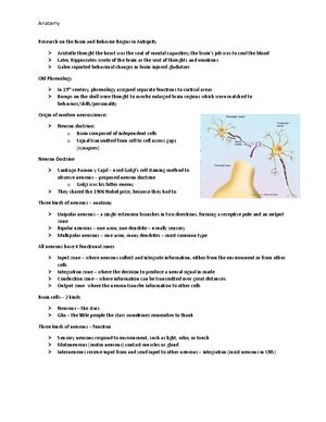 Introduction To Neuroscience Hearing Chapter Ch Hearing Kolecha