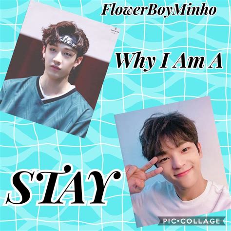 Why Im A Stay Stray Kids Amino