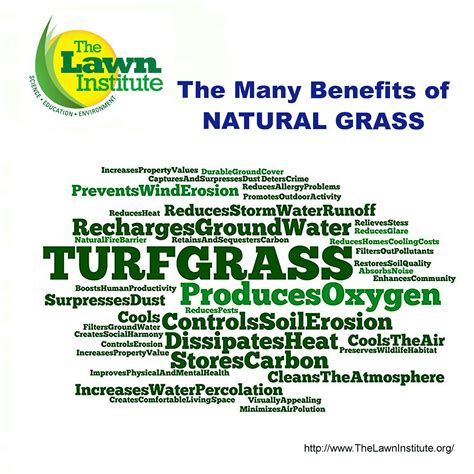 Benefits Of Turf Over Grass at Arthur Walker blog