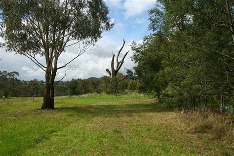 Tracks Trails And Coasts Near Melbourne Lilydale Lake Wetlands