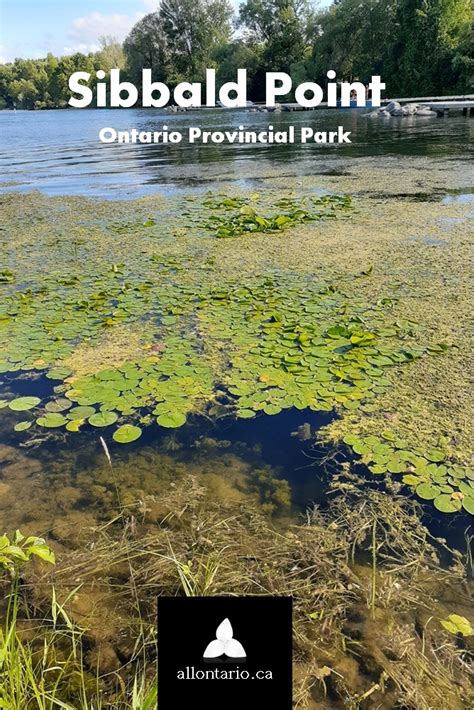 Ontario Hidden Jewel Sibbald Point Provincial Park All Ontario