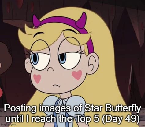 Starbutterfly Memes And S Imgflip