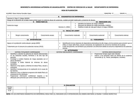 Plan De Cuidados Durante El Embarazo Pdf