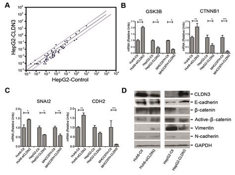 Cldn3 Inactivates Wnt Emt Signaling In Hcc Cells A The Scatter Plot