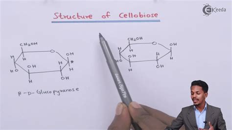 Cellobiose Structure