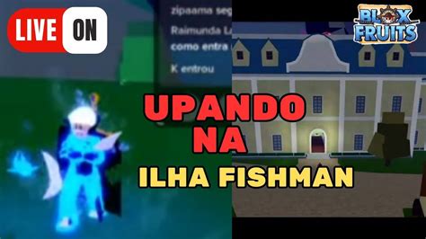 🔴live Blox Fruits 🔥 Upando Na Ilha Da Tartaruga Upei Minha V4