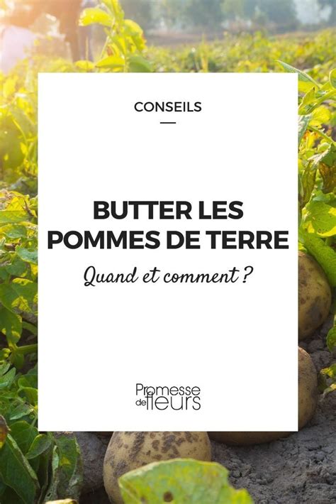 Quand et comment butter les pommes de terre Pomme de terre Idée