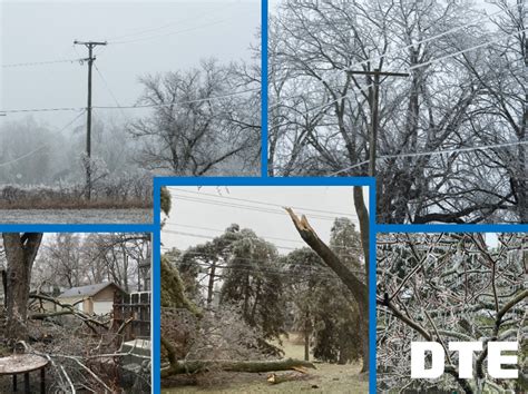 Dte Energy On Twitter It May Look Beautiful On The Branches But Last