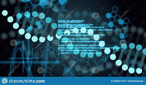 Imagen De Cadena Dna Y Procesamiento De Datos En Fondo Negro Stock De