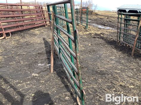 Livestock Panels BigIron Auctions