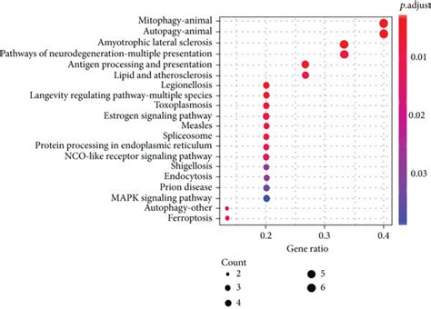 Anticipated Signaling Pathways And Functional Annotations