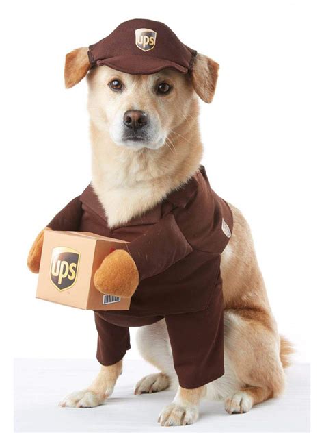 halloween dog outfits  patterns