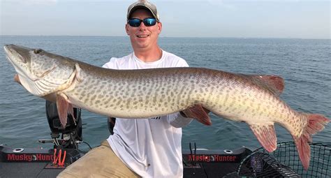 Topwater Muskie Fishing Secrets From 5 Pros