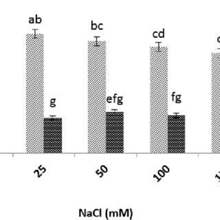 Interaction Effects Of Priming And Salinity Stress On Allometric