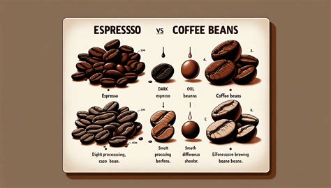 Understanding The Difference Espresso Beans Vs Coffee Beans