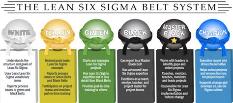 Lean Six Sigma Belt System in Details