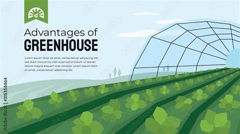 Vector illustration of advantage of greenhouse. Polyhouse cultivation ...