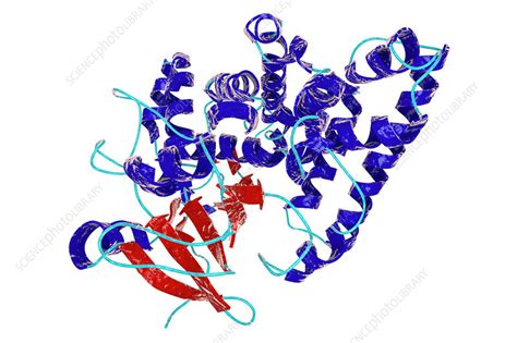 Nitrate Reductase Molecule Illustration Stock Image F