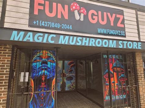 Magic Mushrooms Dispensary Eglinton Ave Funguyz