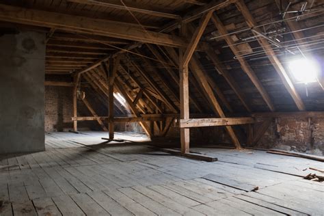 Mold in the attic: Is it dangerous?