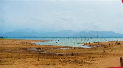 Udawalawe reservoir almost empty – The Island