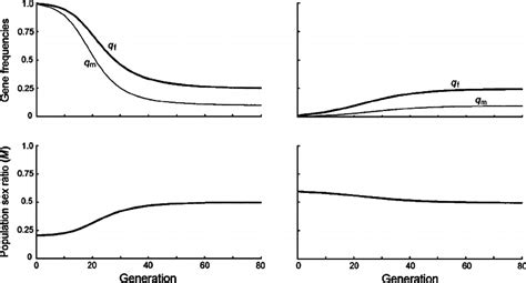 3 Allele Frequency And Population Sex Ratio Trajectories For The