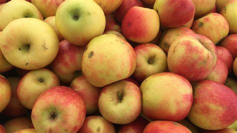 20 Apple Varieties You Should Seek Out This Fall - Food Republic