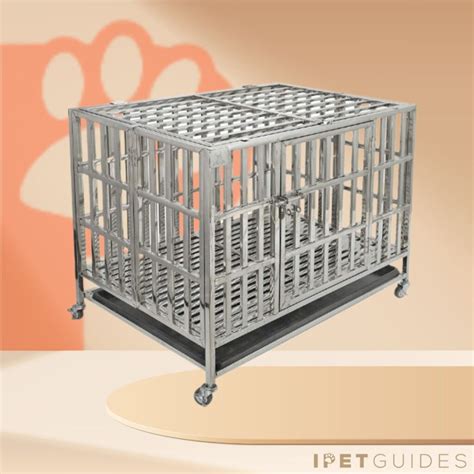 7 Best Heavy-Duty & Escape-Proof Dog Crates [2024 Reviewed]