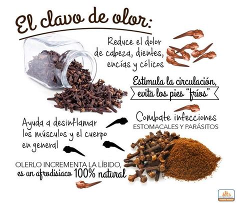 Beneficios Usos Y Propiedades Del Clavo De Olor Clavos De Olor