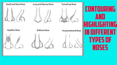 Nose Types Chart