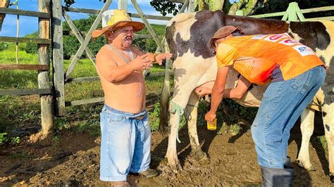 Vaqueiro Espirra Leite Da Vaca Em Pililiu E Ele Fica Irado Pililiu Da