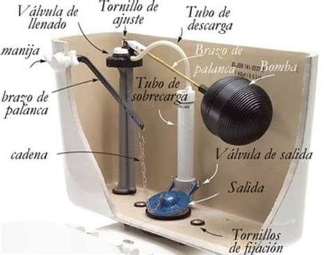 Partes de un inodoro 12 partes que quizás desconocías