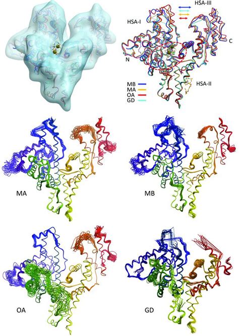 Iucr Controlled Dehydration Structural Flexibility And Gadolinium