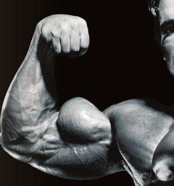 Arnold Schwarzenegger Poster Double Biceps Famous Pose