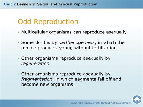 Unit 2 Lesson 3 Sexual And Asexual Reproduction Ppt Download