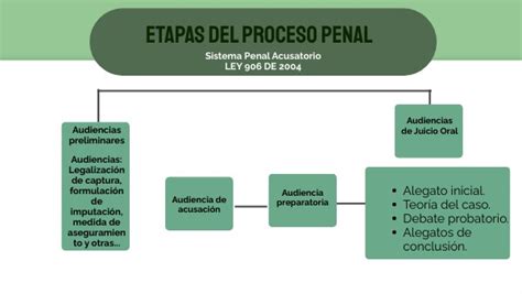 Estructura Proceso Penal