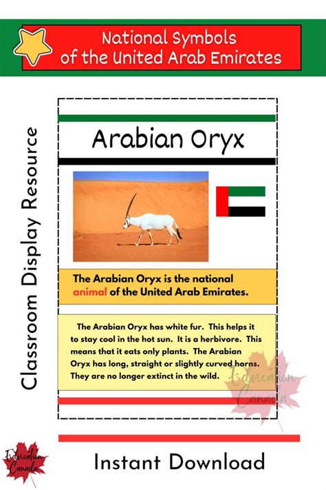 National Symbols Of The UAE Classroom Display Resource English As A