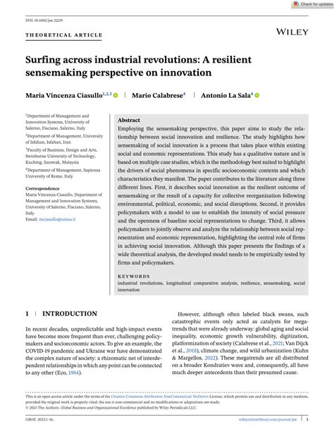 PDF Surfing Across Industrial Revolutions A Resilient Sensemaking