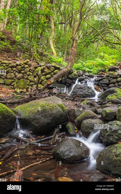 Espa A Islas Canarias La Gomera Isla Declarada Reserva De La Biosfera